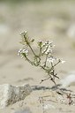 BUITEN BEELD Foto: 179590