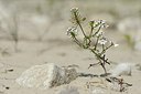 BUITEN BEELD Foto: 179591