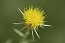 BUITEN BEELD Foto: 179594