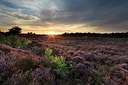 BUITEN BEELD Foto: 179595