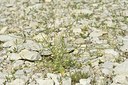 BUITEN BEELD Foto: 179666