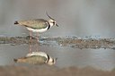 BUITEN BEELD Foto: 179683