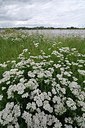 BUITEN BEELD Foto: 179767