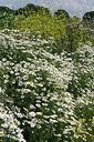 BUITEN BEELD Foto: 179843