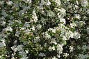 BUITEN BEELD Foto: 179855