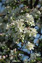 BUITEN BEELD Foto: 179859