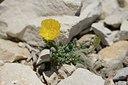 BUITEN BEELD Foto: 179940