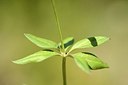 BUITEN BEELD Foto: 179958