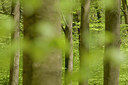 BUITEN BEELD Foto: 180064