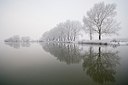 BUITEN BEELD Foto: 180067