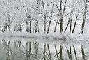BUITEN BEELD Foto: 180068