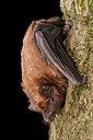 BUITEN BEELD Foto: 180138