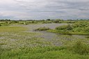 BUITEN BEELD Foto: 180145