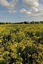 BUITEN BEELD Foto: 180183