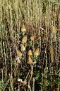 BUITEN BEELD Foto: 180230
