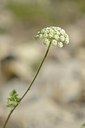 BUITEN BEELD Foto: 180235
