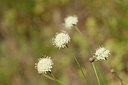 BUITEN BEELD Foto: 180523