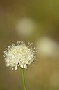 BUITEN BEELD Foto: 180525