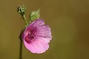 BUITEN BEELD Foto: 180536