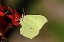 BUITEN BEELD Foto: 180611