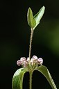 BUITEN BEELD Foto: 180672