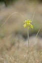 BUITEN BEELD Foto: 180698