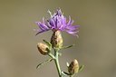 BUITEN BEELD Foto: 180699
