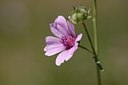 BUITEN BEELD Foto: 180834