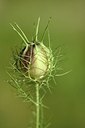 BUITEN BEELD Foto: 180839