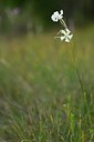 BUITEN BEELD Foto: 180866