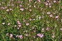 BUITEN BEELD Foto: 180893