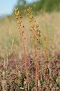 BUITEN BEELD Foto: 180899