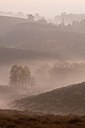 BUITEN BEELD Foto: 180943