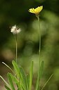 BUITEN BEELD Foto: 180973