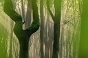 BUITEN BEELD Foto: 181015