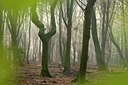 BUITEN BEELD Foto: 181016