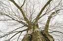 BUITEN BEELD Foto: 181108