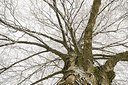 BUITEN BEELD Foto: 181110