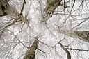 BUITEN BEELD Foto: 181112