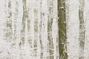 BUITEN BEELD Foto: 181199