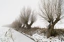BUITEN BEELD Foto: 181210
