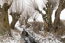 BUITEN BEELD Foto: 181212