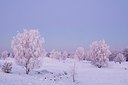 BUITEN BEELD Foto: 181261