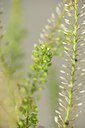 BUITEN BEELD Foto: 181449