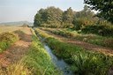 BUITEN BEELD Foto: 181473