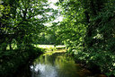 BUITEN BEELD Foto: 181504