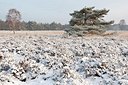 BUITEN BEELD Foto: 181509