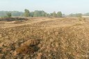 BUITEN BEELD Foto: 181531