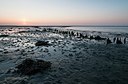 BUITEN BEELD Foto: 181599