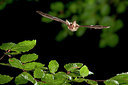 BUITEN BEELD Foto: 181716